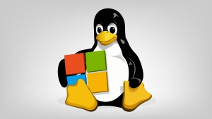 Microsoft es ahora el mejor amigo de Linux