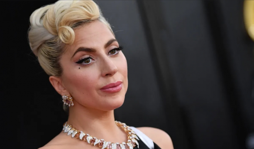 Demandan a Lady Gaga por no pagar la recompensa de sus perros
